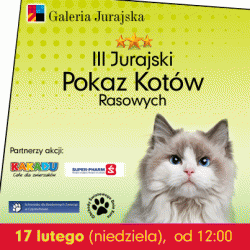 galeria-jurajska-pokaz-kotow-rasowych