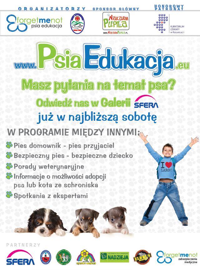 sfera-bielsko-biala-psoa-edukacja